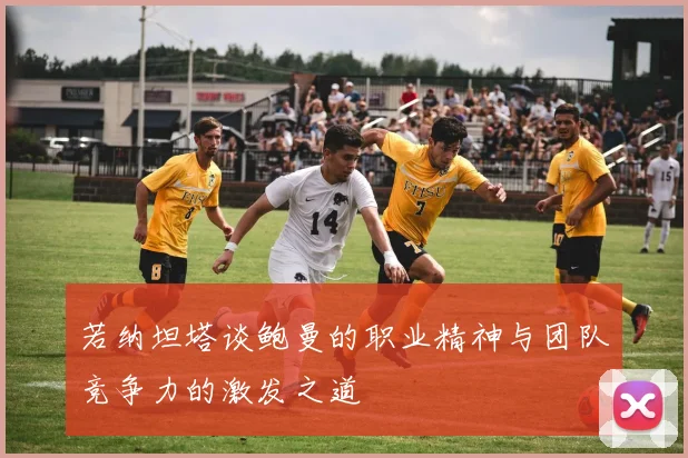 若纳坦塔谈鲍曼的职业精神与团队竞争力的激发之道