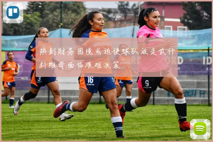 热刺财务困境或迫使球队放走武什科维奇面临艰难决策