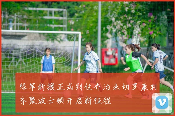 绿军新援正式到位乔治米切罗康利齐聚波士顿开启新征程
